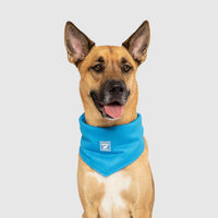 Canada Pooch® Cooling Bandana Blue