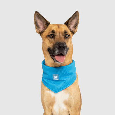 Canada Pooch® Cooling Bandana Blue