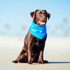 Canada Pooch® Cooling Bandana Blue