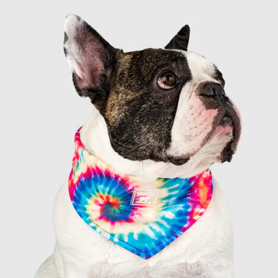 Canada Pooch Cooling Bandana Tie Out