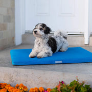 Canada Pooch® Chill Out Cooling Mat