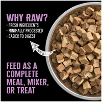 Nutrience SubZero Freeze-Dried Raw Dog Food - Pork & Apple Recipe - 113 g