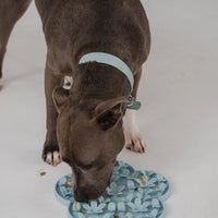 Dexypaws Flower Hide and Seek Silicone Snuffle Mat, Sky Blue for Cats or Dogs