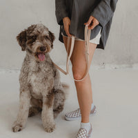 Dexypaws Waterproof Dog Leash, Nude