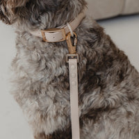 Dexypaws Waterproof Dog Collar, Nude