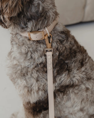 Dexypaws Waterproof Dog Collar, Nude