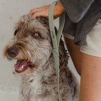 Dexypaws Waterproof Dog Leash, Sage Green