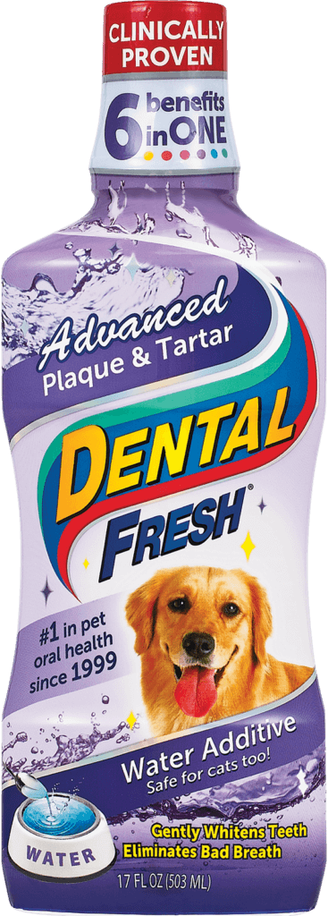 Dog 2024 dental mouthwash