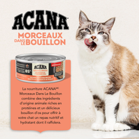 Acana Chunks in Broth Salmon & Chicken Recipe 5.5 oz