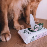 Beco Bamboo Dog Wipes - Coconut Scent