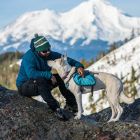 Kurgo Baxter Backpack Coastal Blue Dog