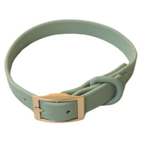 Dexypaws Waterproof Dog Collar, Sage Green (NEW)