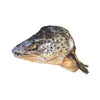 Just Raw Salmon Head - Halved (NEW)