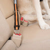 Kurgo Direct to Seat Belt Tether