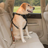 Kurgo Direct to Seat Belt Tether