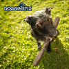 DOGGINSTIX Lamb Collagen Barbell Dog Treat