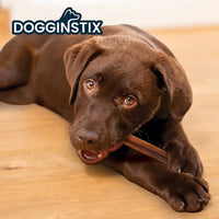 DOGGINSTIX Bully Sticks Cane Natural Dog Chews & Treats