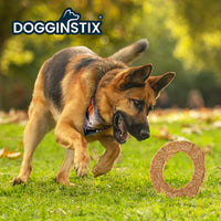 DOGGINSTIX Lamb Collagen Cosmic Donut Dog Treat