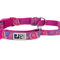 RC Pets Easy Clip Web Training Collar  Bright Paisley (DISCONTINUED) SALE