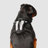 Canada Pooch® Everything Harness Mesh Series Reflective