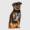 Canada Pooch® Everything Harness Mesh Series Reflective