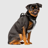 Canada Pooch® Everything Harness Mesh Series Reflective