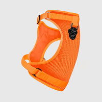 Canada Pooch® The Everything Harness Mesh Series Orange