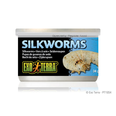 Exo Terra Silkworms (Pupea) - 34 g (1.2 oz)