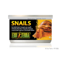 Exo Terra Snails (House free) - 48 g (1.7 oz)