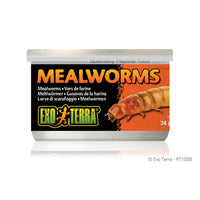 Exo Terra Mealworms - 34 g (1.2 oz)