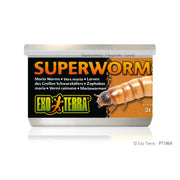 Exo Terra Canned Superworms - 34 g (1.2 oz)