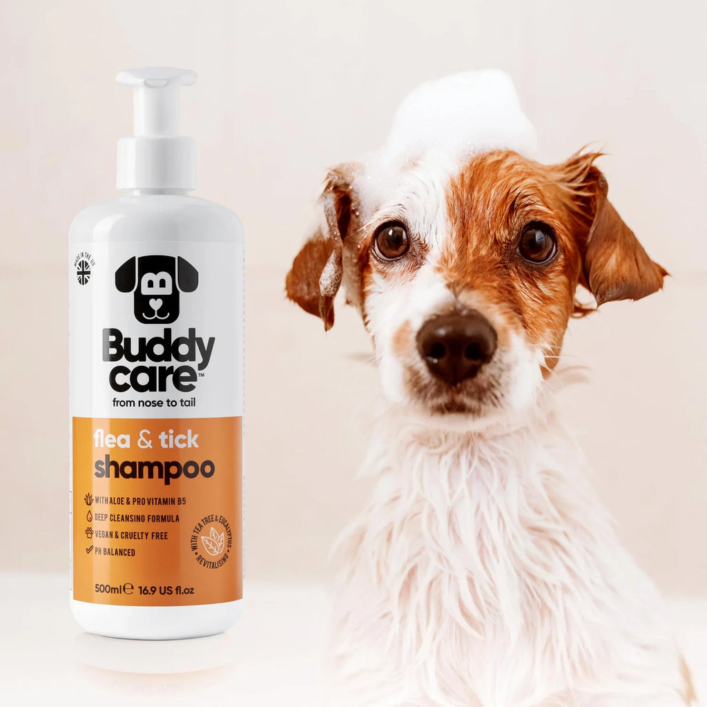 Buddycare™ Flea & Tick Shampoo for Dogs 16.9 fl oz