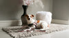 Rogz Fast-Fit Adjustable Urban Dog Harness Pink Blush