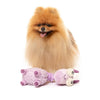 FuzzYard CA  Dog Toy - Neck Minnits Neckita Teh Llama (NEW)