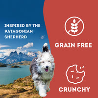 Granville Indomitable Patagonia Grain Free Human Grade Biscuit Treats Beef Dog 460g