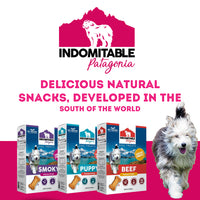 Granville Indomitable Patagonia Grain Free Human Grade Biscuit Treats Beef Dog 460g