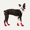 Goo-eez® LITES Dog Boots Red (4 Pack)