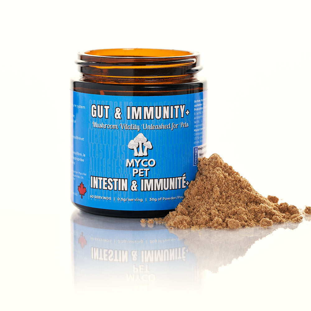 Myco Pet – Gut & Immunity + Supplement – 30g (GLASS)