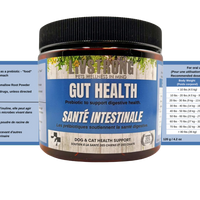 Livstrong Gut Health (Prebiotic) 120 g