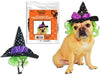 Riley & Rex Fright Night Pet Costume Witch Hat with Hair