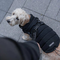 Canada Pooch® The Harness Puffer Black