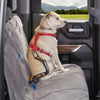 Kurgo Direct to Seat Belt Tether