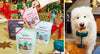 Bocce's Bakery Holiday Reindeer Fuel Soft & Chewy Treats