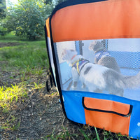 Travel Cat The Feline Fun House - Portable Cat Play Tent