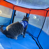 Travel Cat The Feline Fun House - Portable Cat Play Tent