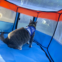 Travel Cat The Feline Fun House - Portable Cat Play Tent