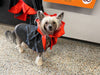 Riley & Rex Fright Night Pet Costume Satin Vampire Cape