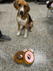 Spot® Plush Tasty Donut 7.5" Assorted Dog Toy SALE