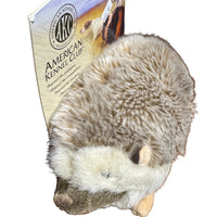 AKC Hedgehog SALE