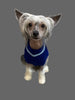 Lookin' Good Dog Sweater - Blue SALE